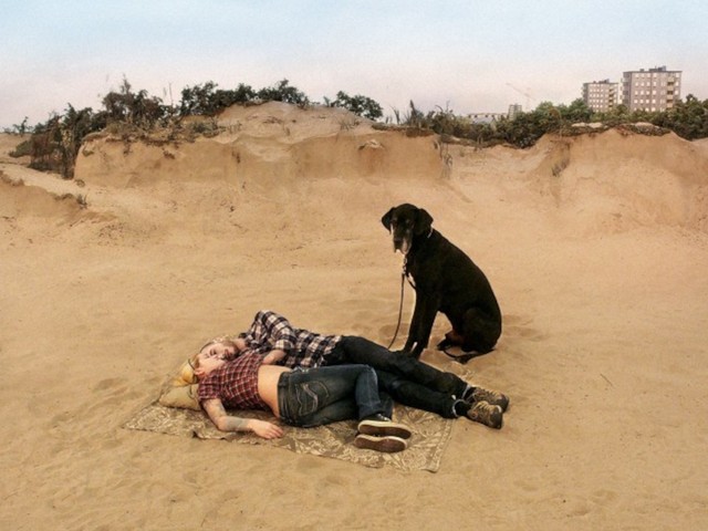 Header_Film Arthouse_Pigeon Still _ed