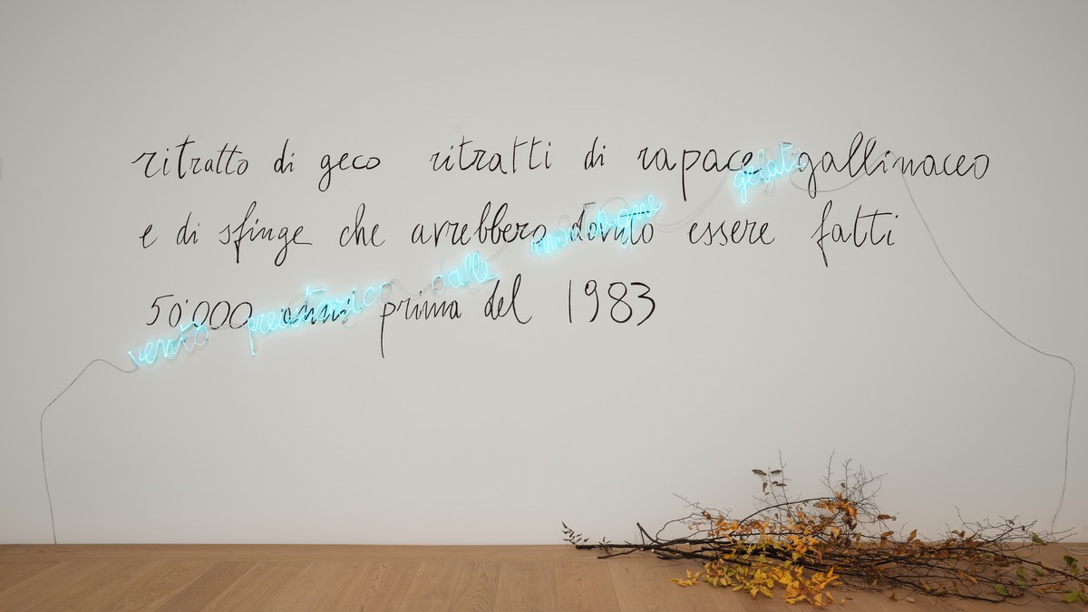 Looser_Ausstellungsansicht_6