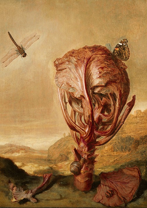 Landschaften